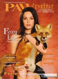 Foxy Fox