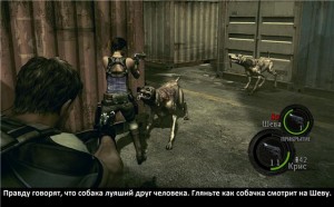 Resident Evil 5